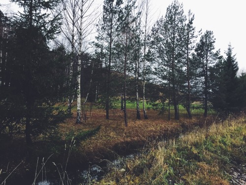 tuggiie:  Dear nature, I love you
