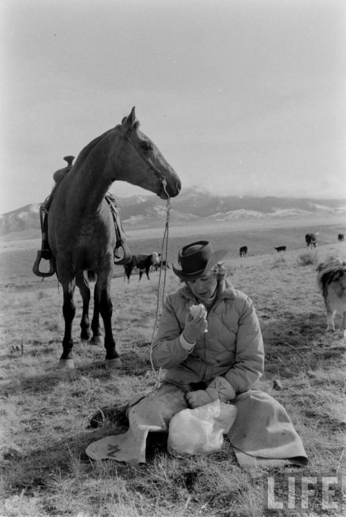 Cattle drive(Ralph Crane. 1956?)