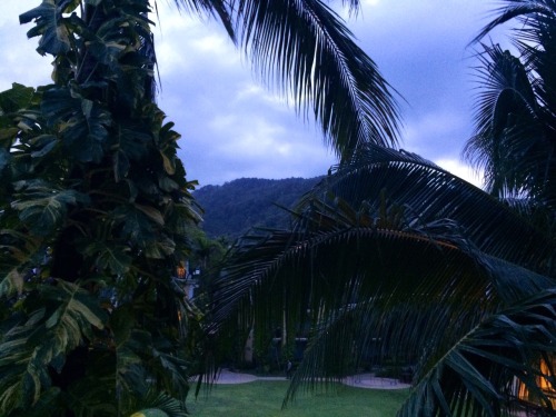 paerd: The view I woke up to in phuket 1:00pm and 5:00am