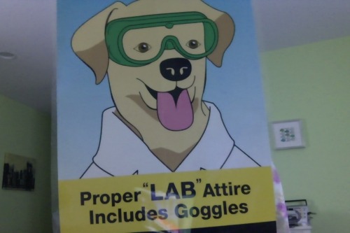wafflehouse666:  can’t forget about this silly pup 