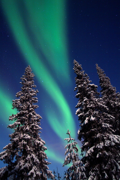 archenland: Northern Lights In Lapland by Visit Finland