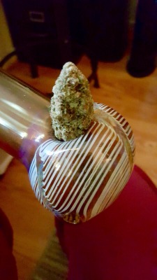 fastestslothalive:  Got me a hearty nug of G-13 woooo 🔥😚💨http://its-time-to-enjoy-this.tumblr.com/