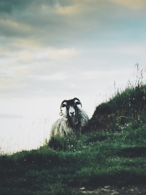 dpcphotography:Chasing light and rainbows