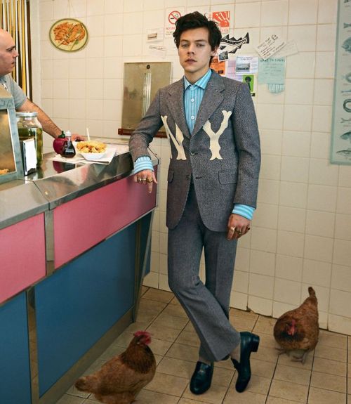 harrystylesdaily: Harry Styles for the A/W 2018 Gucci Tailoring Campaign. Photography by Glen Luchfo