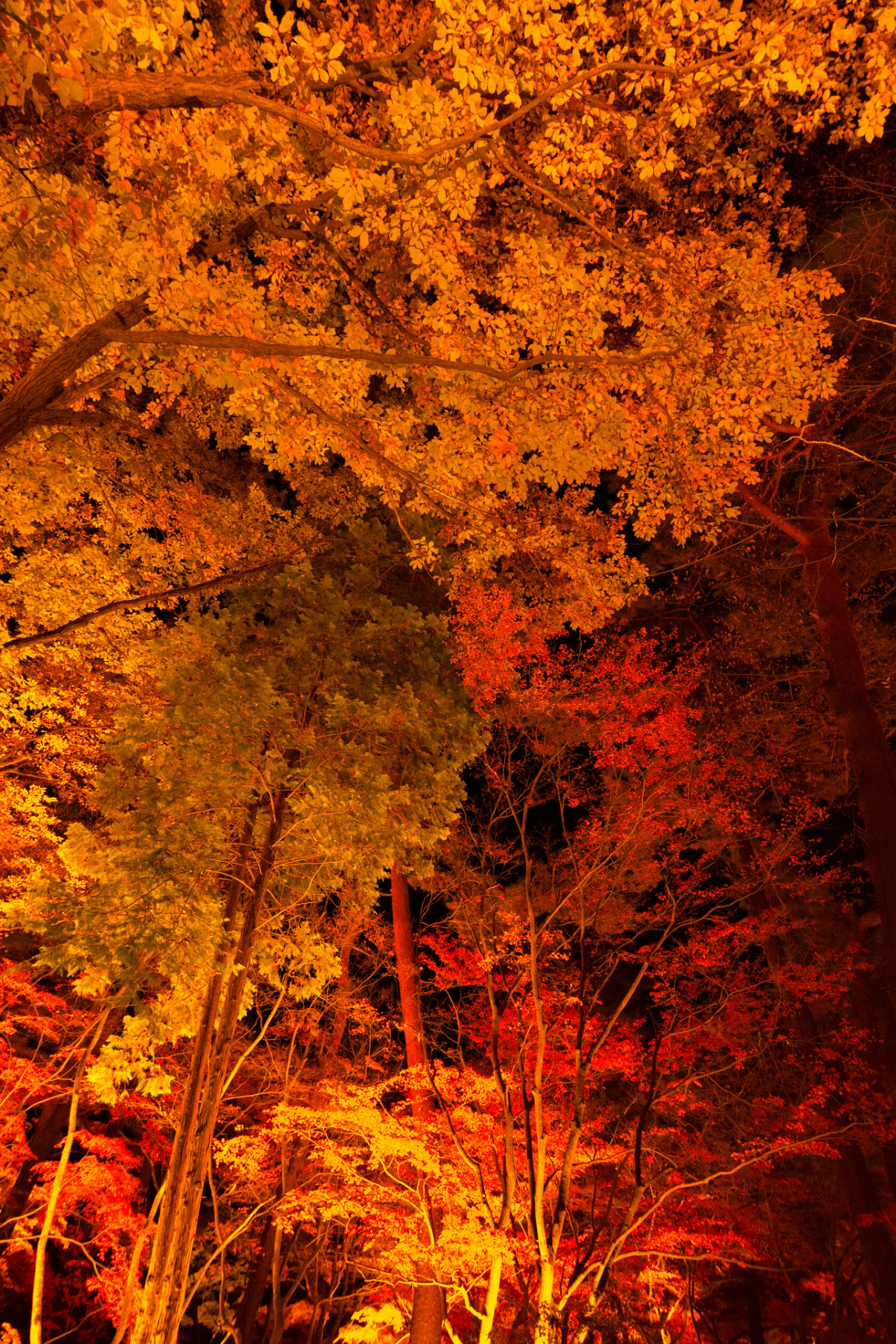 Nagataro Tumblr Gallery nagataro-tumblr-gallery
