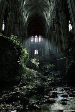 theoddcollection:  This beautiful photo showing an abandoned church reconquered by nature turned out to be a photoshopped version of Saint-Étienne Cathedral in Bourges, France (and possibly several other churches). If you look closely there is even a
