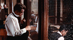 roonevmara:Rebel Without a Cause (1955) — Dir. Nicholas Ray “ You can wake up now, the u