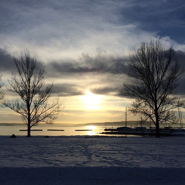 mssecretary:  Vinterlys #lunsjutsikt #sollerudstranda #lysaker #oslofjorden #oslo
