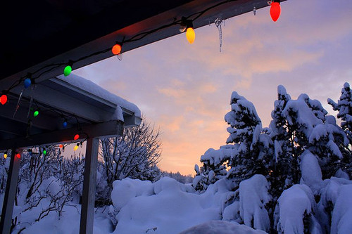 wintersnowland:  Wishing you a wintery Christmas ⛄️