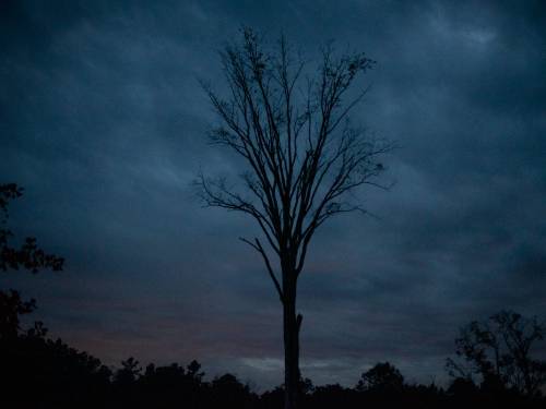 The Pine Barrens, New Jersey