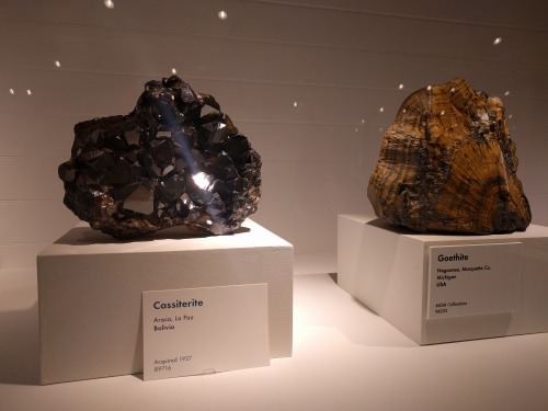 boononame:Seeing all the cool geology at the Harvard Museum of Natural History was super inspiring a
