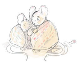 housamo:  “As the fires burned low, they settled back with full stomachs and renewed hope for the morn. Martin and Timballisto slept side by side beneath the stars, each wrapped in a colorfully woven shrew blanket.”  I always loved the idea of Martin