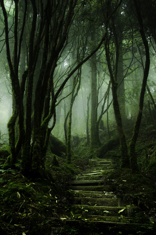 givncvrlos:  Taiping Path #2 | Justin Jones