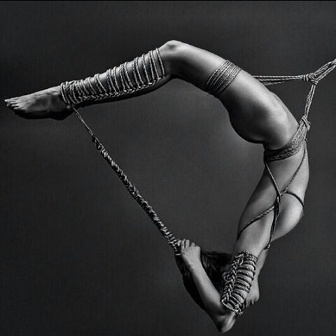 tiemeupanddominatemeplease:  tiemeupanddominatemeplease