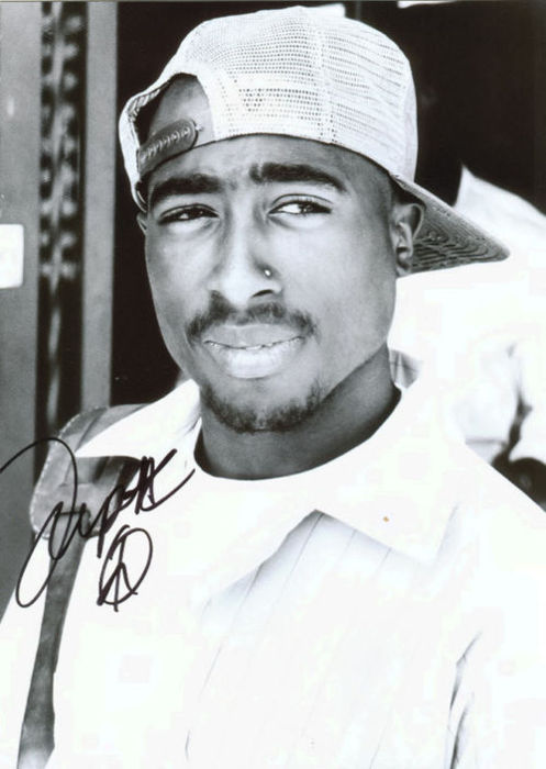 TAYLOR GANG OR DİE BITCH