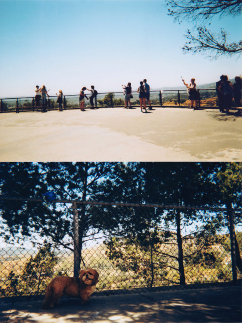 Griffith Observatory[Los Angeles, USA]