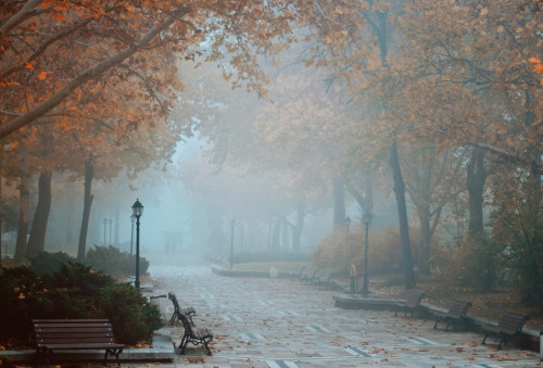 magic-spelldust:  Foggy Autumn Series by Bomb-Creator 