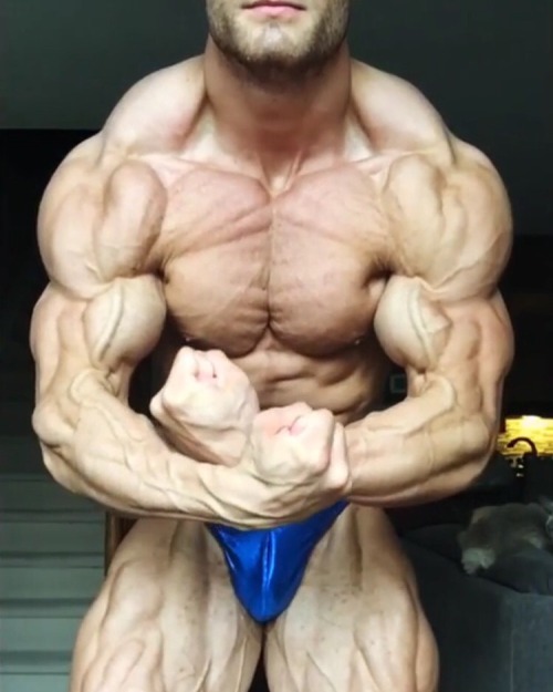 muscleroidaddict: Chris Bumstead