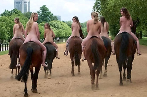 nudeexercise:  Nude horseback riding.  A great group experience.