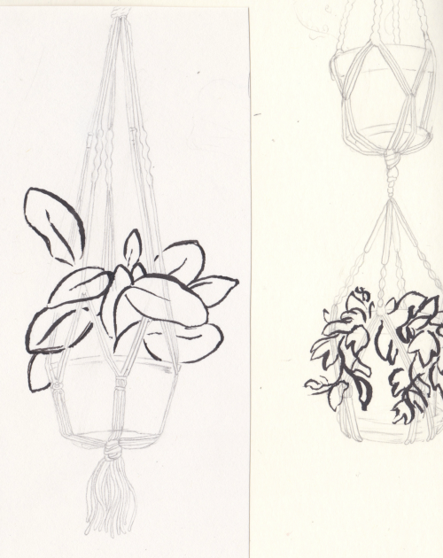 galinajpeg:I find drawing these macrame hanging plants so soothing
