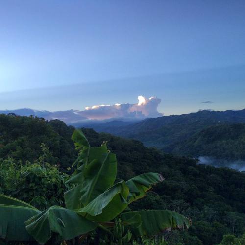 jibaro-manicato: That fresh morning mountain air to get you up and start day. #LifeOnTheFarm @mayna_