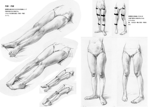  A spectacular fuck-ton of human leg references. Sourced by no15201: http://anatomy4sculptors.com/?m
