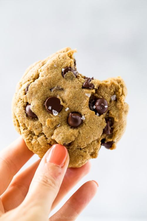 foodffs: Epic Vegan Pumpkin Chocolate Chip Cookies Follow for recipes Is this how you roll?