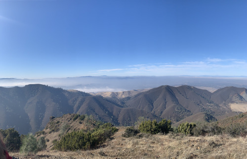 Hiking in Mount Diablo State Park was one of the goals for last year. So on an early foggy morning w