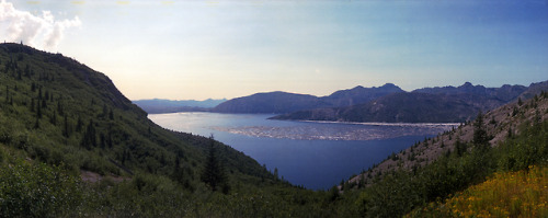 the69thdimension: Spirit Lake on Mt. Saint Helens, Washington. Widelux // Kodak Portra 160 Those tre