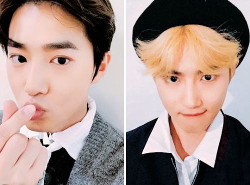 fan-qins: Exo- Universe photocards