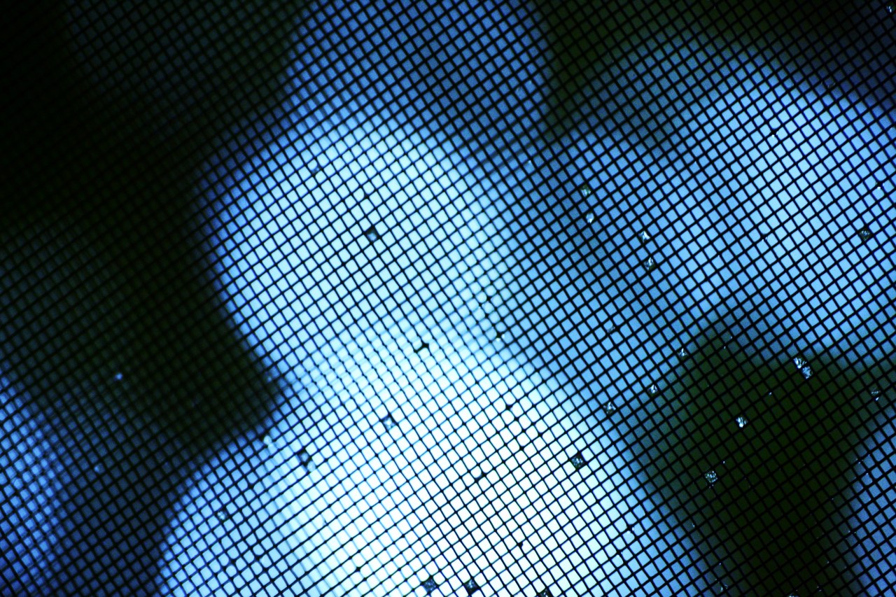 Tumblr Photo