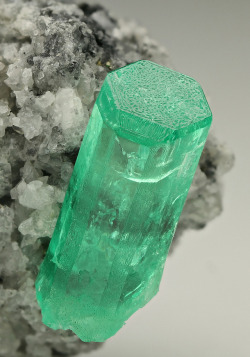 bijoux-et-mineraux:  Emerald on Calcite and