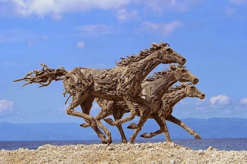 XXX Run wild, run free (driftwood horse sculpture photo