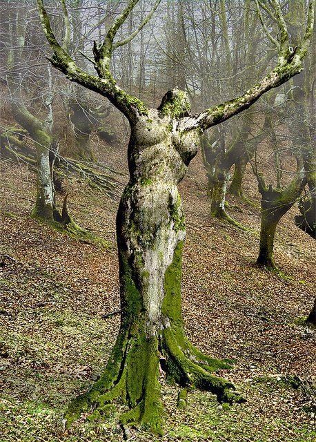 doyoulikevintage:  Mother Nature, Portugal