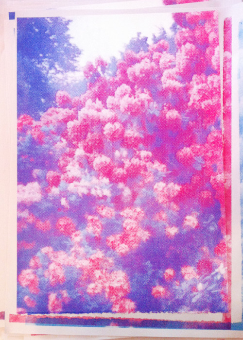 http://cherubesque.tumblr.com/post/77272246112