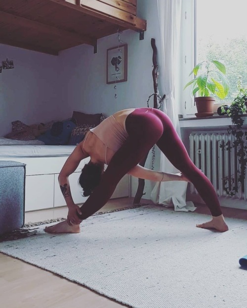 elephantsarevegan:As you might have noticed i started getting more into yoga again and it feels so g