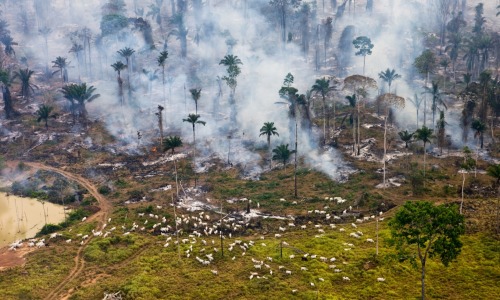 the-gasoline-station:  Reblog for #EarthDay  Over population, over consumption! Not #AprilFools How do you raise awareness about population explosion? “Global Population Speak Out” thought that the simplest way would be to show people. The book