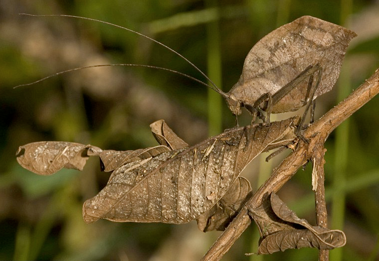 nubbsgalore:  &ldquo;dead leaves and the dirty ground, when i don’t know you’re