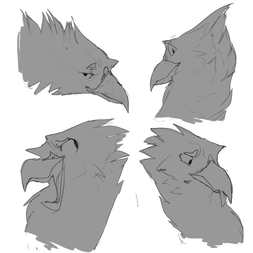 Hey Guys Look At All These Gryphs I Drew
