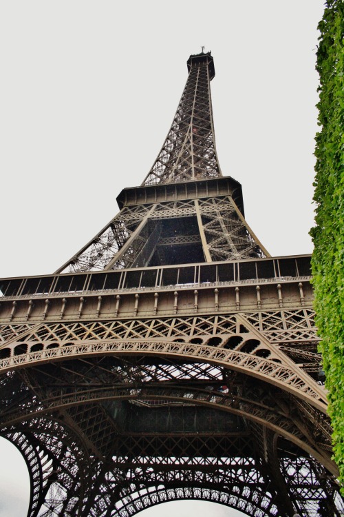 The Eiffel Tower And Notre Dame. Paris, France