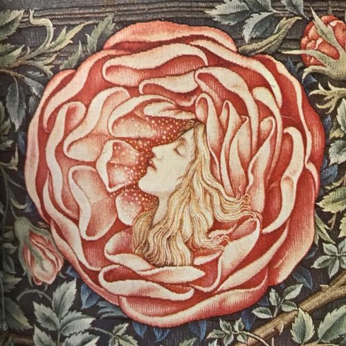 From a tapestry designed by Edward-Burne Jones, woven by Taylor, Martin and Ellis at Merton Abbey, 1