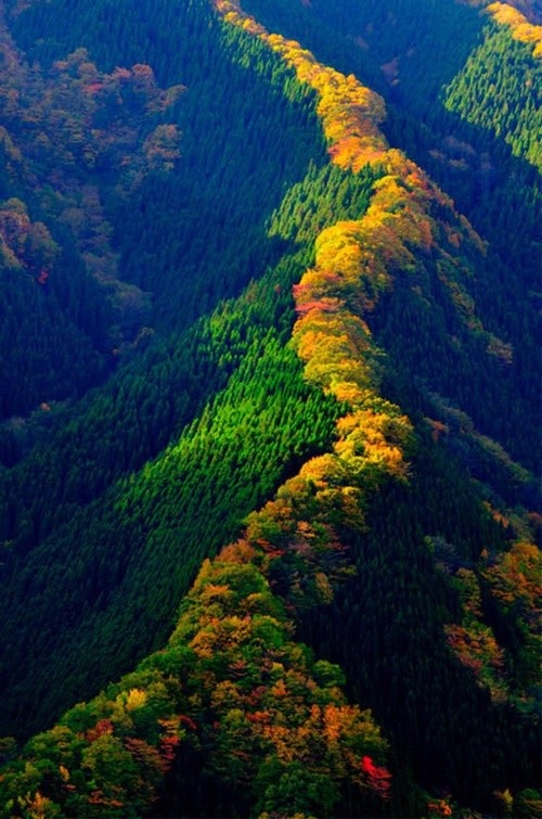 world-ethnic-beauty:  Image via We Heart It https://weheartit.com/entry/142806577
