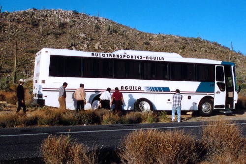 Broken Down Autotransportes-Aguila Bus, Somewhere in Baja California, March, 1995.