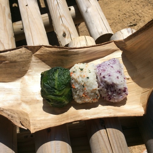 our bento on kumano kodo pilgrimage this march 