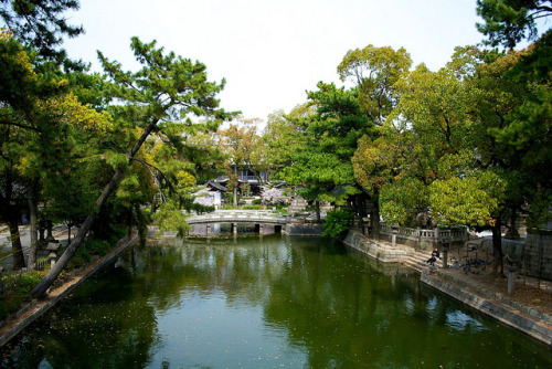 View from the Bridge on Flickr.