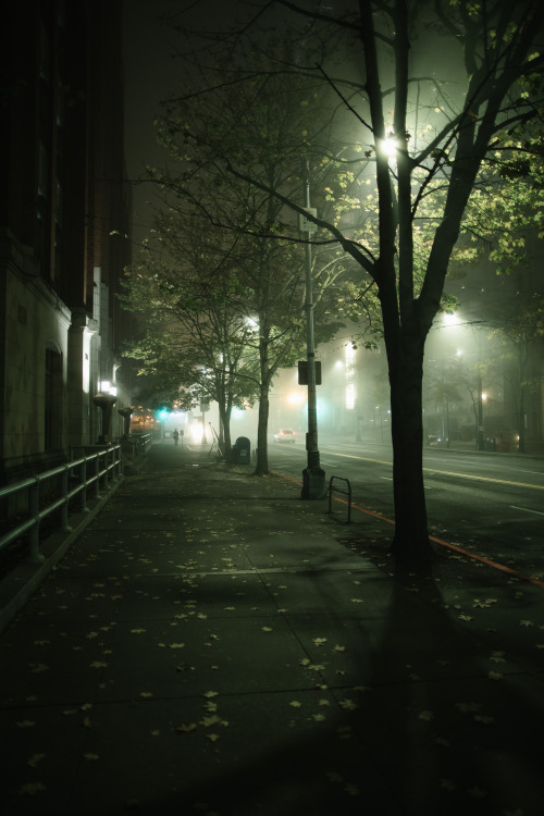 samhorine:foggy nights - october 2018