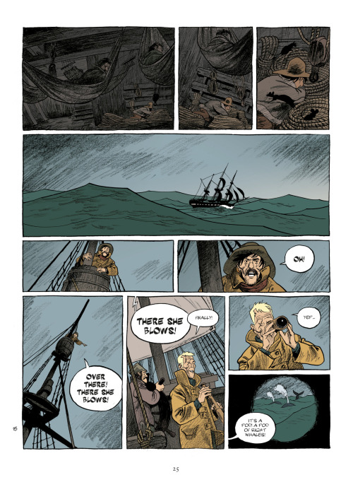 balu8:Esteban The Whaler, by Matthieu BonhommeEurope Comics