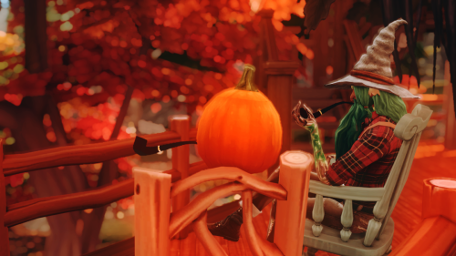 Hawthorn:What Would You Do When That Event Was Over?Pumpkin: Ahh, I'm Thinking About Going Travel To