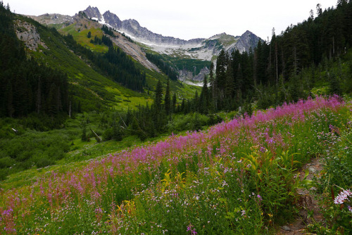 Glacier Peak Circumnavigation by williswall