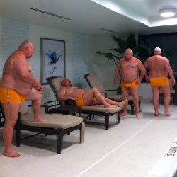 furlessbear:  The Dutch Grand Masters synchronized swim team in their new Mochimo plus sized Orange Square-Cuts !